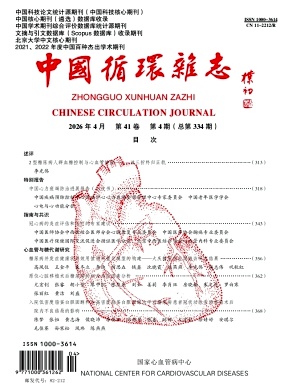 中国循环封面